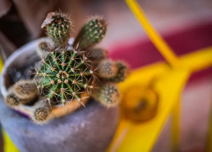 Bed & Breakfast Sottosopra 3*