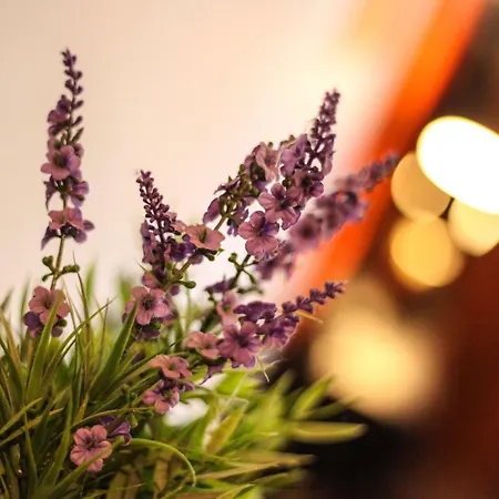 Sottosopra גאליפולי