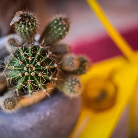 לינה וארוחת בוקר Sottosopra 3*