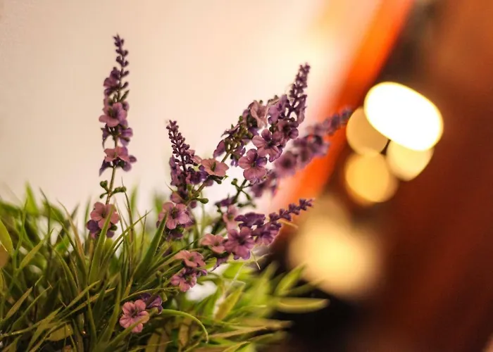 Sottosopra Gallipoli